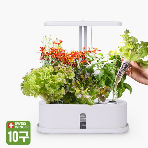 스위스윙거 가정용 LED 수경 식물 재배기 (10구형)