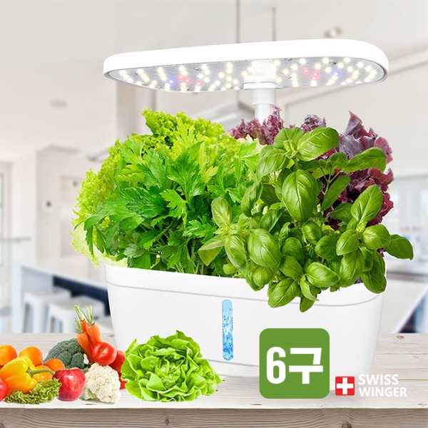 스위스윙거 가정용 LED 수경 식물 재배기 (6구형)